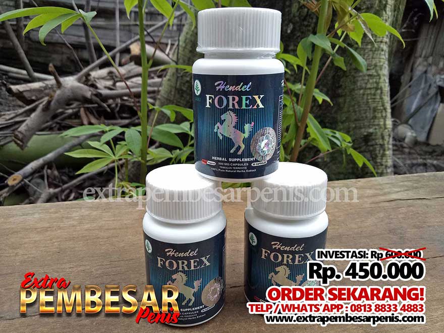 Hendel Forex Asli