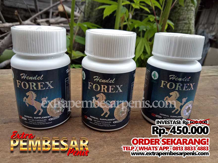 Obat Pembesar Penis Permanen Hendel Forex