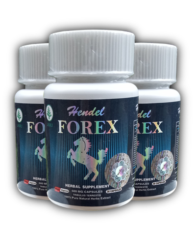 spesifikasi hendel forex